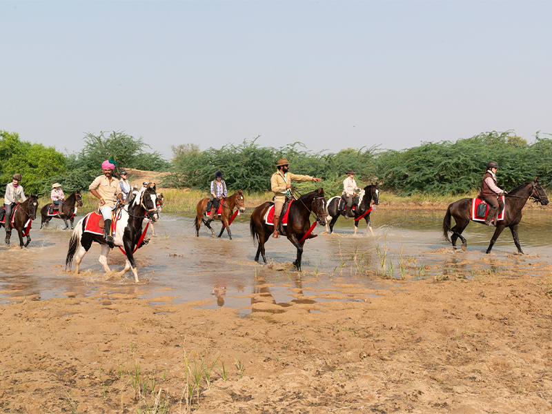 Bijaipur Horse Safaris