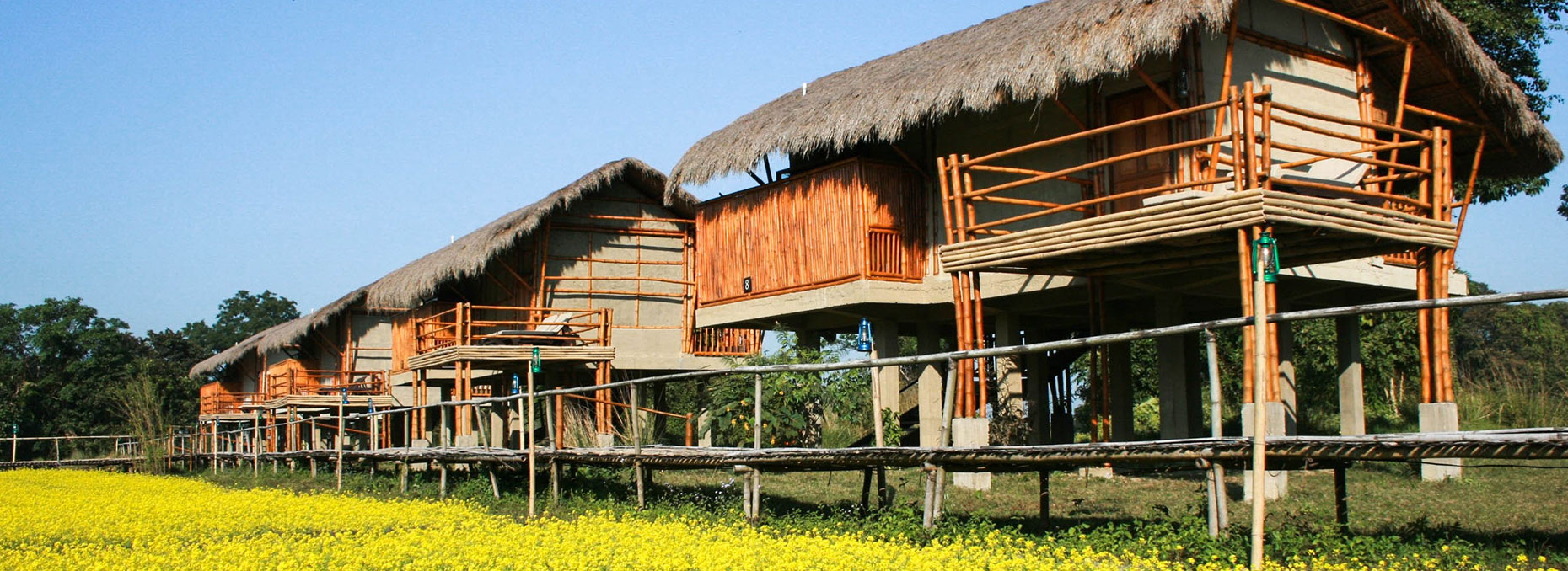 Diphlu River Lodge, Kaziranga 