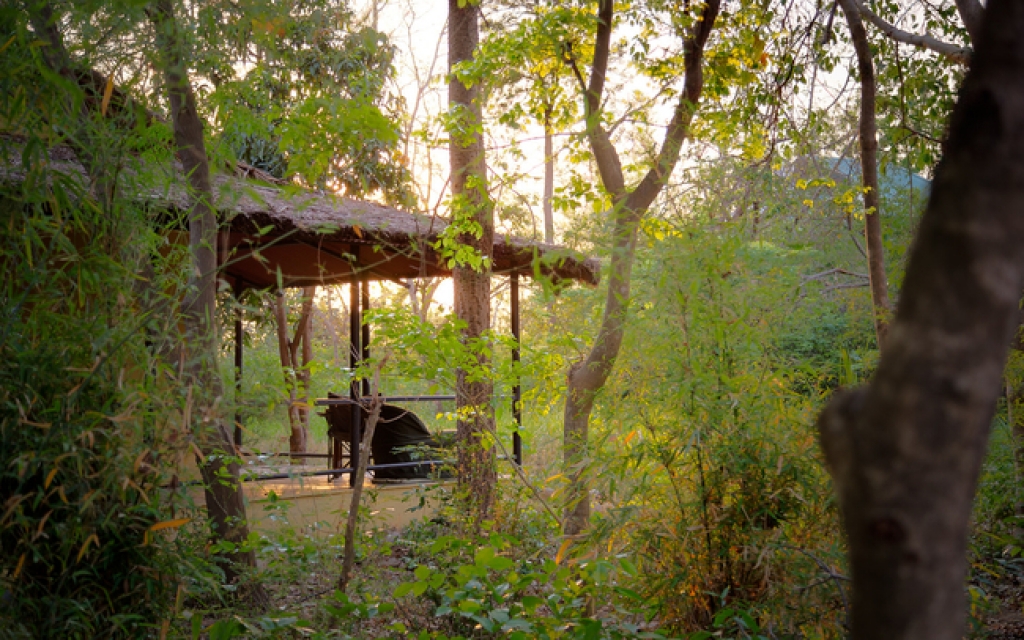 Jungle Cottage