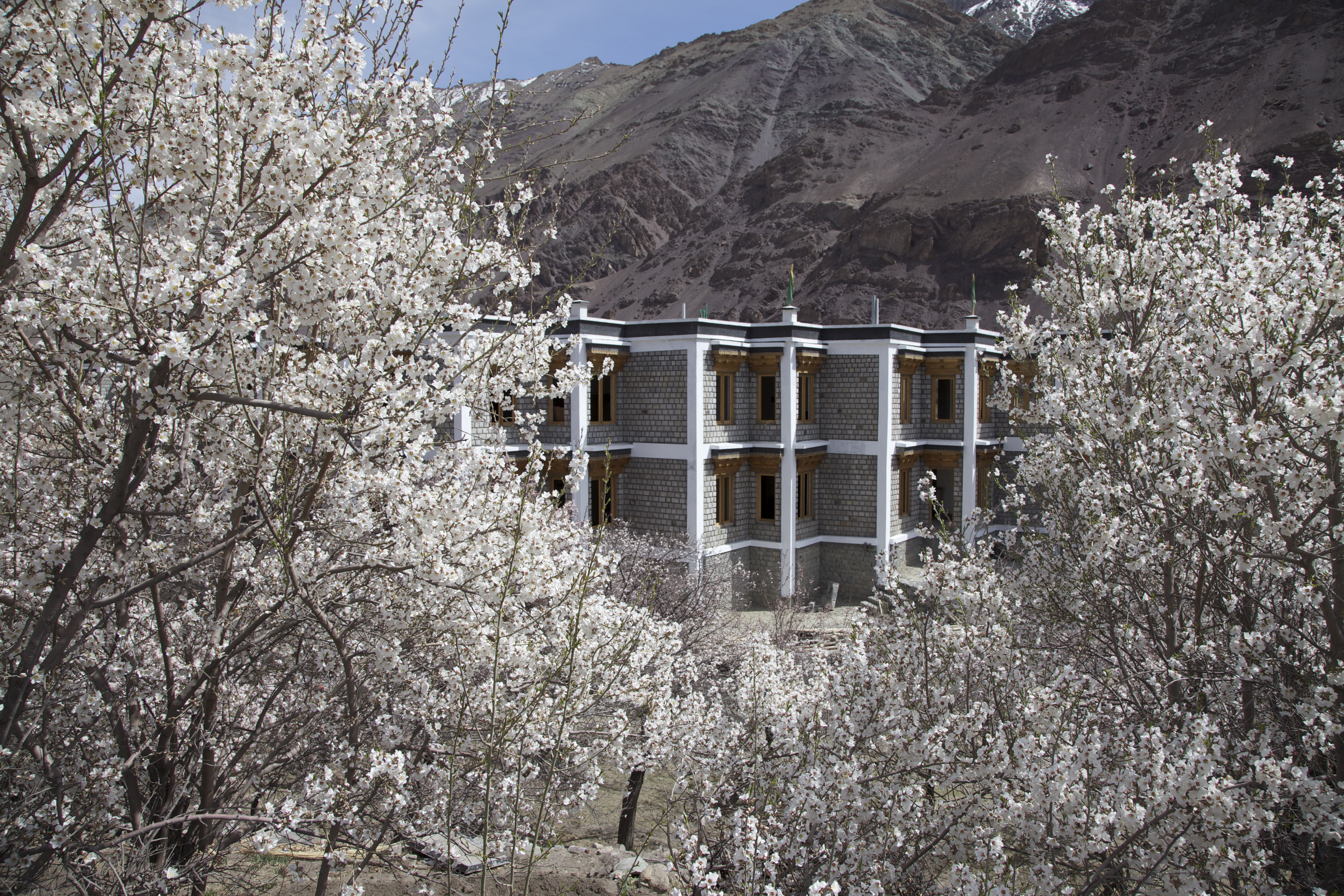 The Apricot Tree Hotel